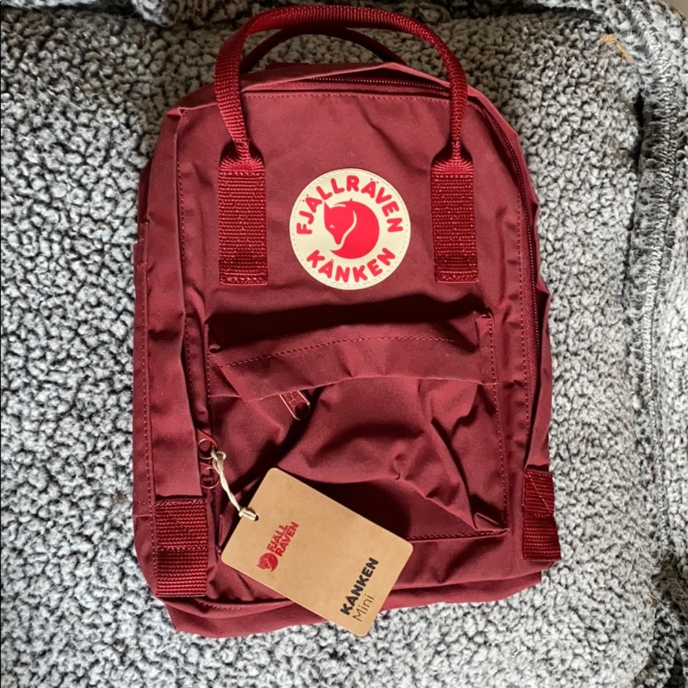 Fjallraven kanken mini bag